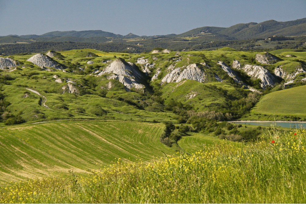 Crete Senesi 